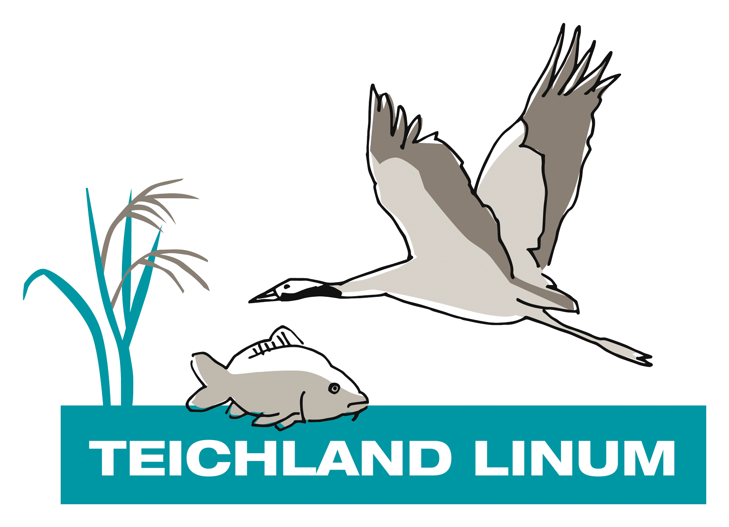 Teichland Linum